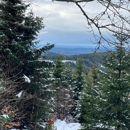 Σπίτι διακοπών House In Vosges Near Forest And Hiking Trails *