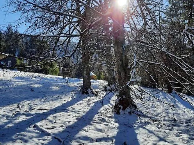 House In Vosges Near Forest And Hiking Trails
