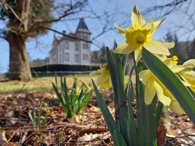 House In Vosges Near Forest And Hiking Trails