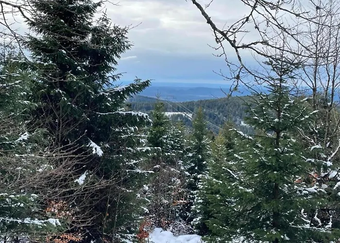 Prázdninový dům House In Vosges Near Forest And Hiking Trails *